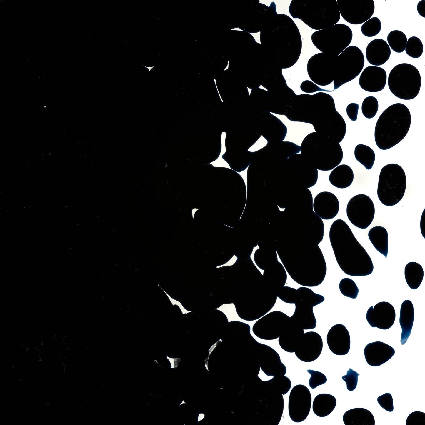 Bullseye COE90 Fusing Glass 000102 Blue Black Frit