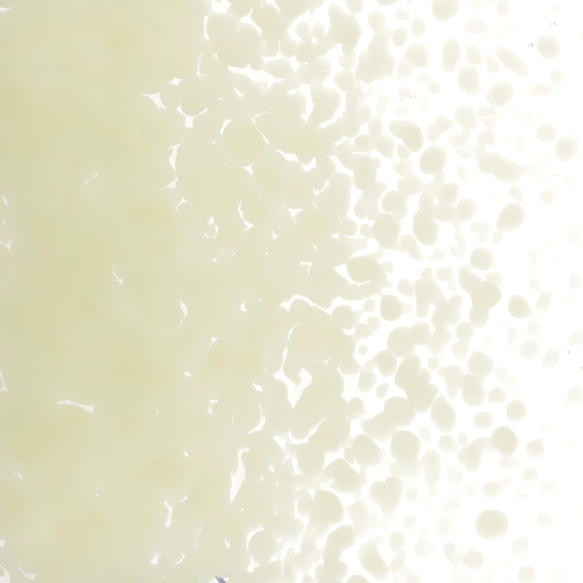 Bullseye COE90 Fusing Glass 000131 Artichoke Frit