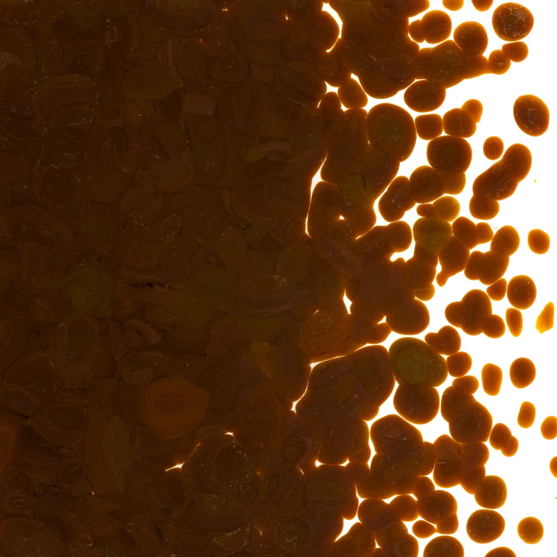 Bullseye COE90 Fusing Glass 000203 Woodland Brown Frit