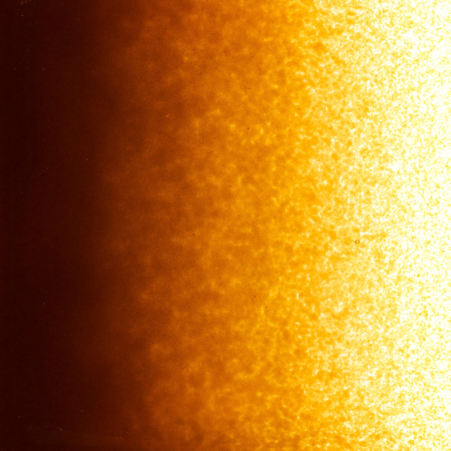 Bullseye COE90 Fusing Glass 000203 Woodland Brown Frit