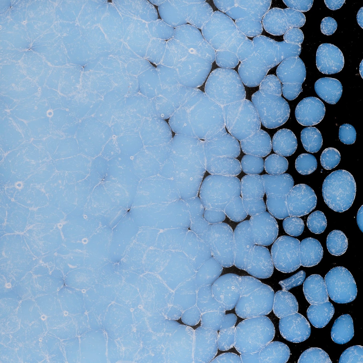 Bullseye COE90 Fusing Glass 000403 Opaline Frit