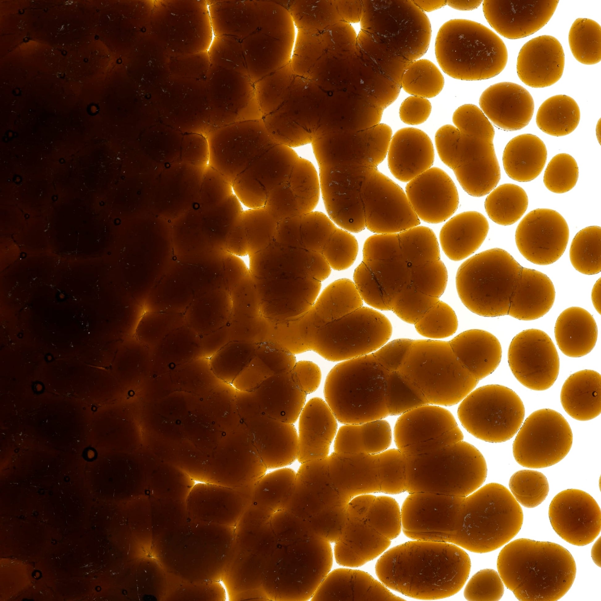 Bullseye COE90 Fusing Glass 001119 Sienna Frit