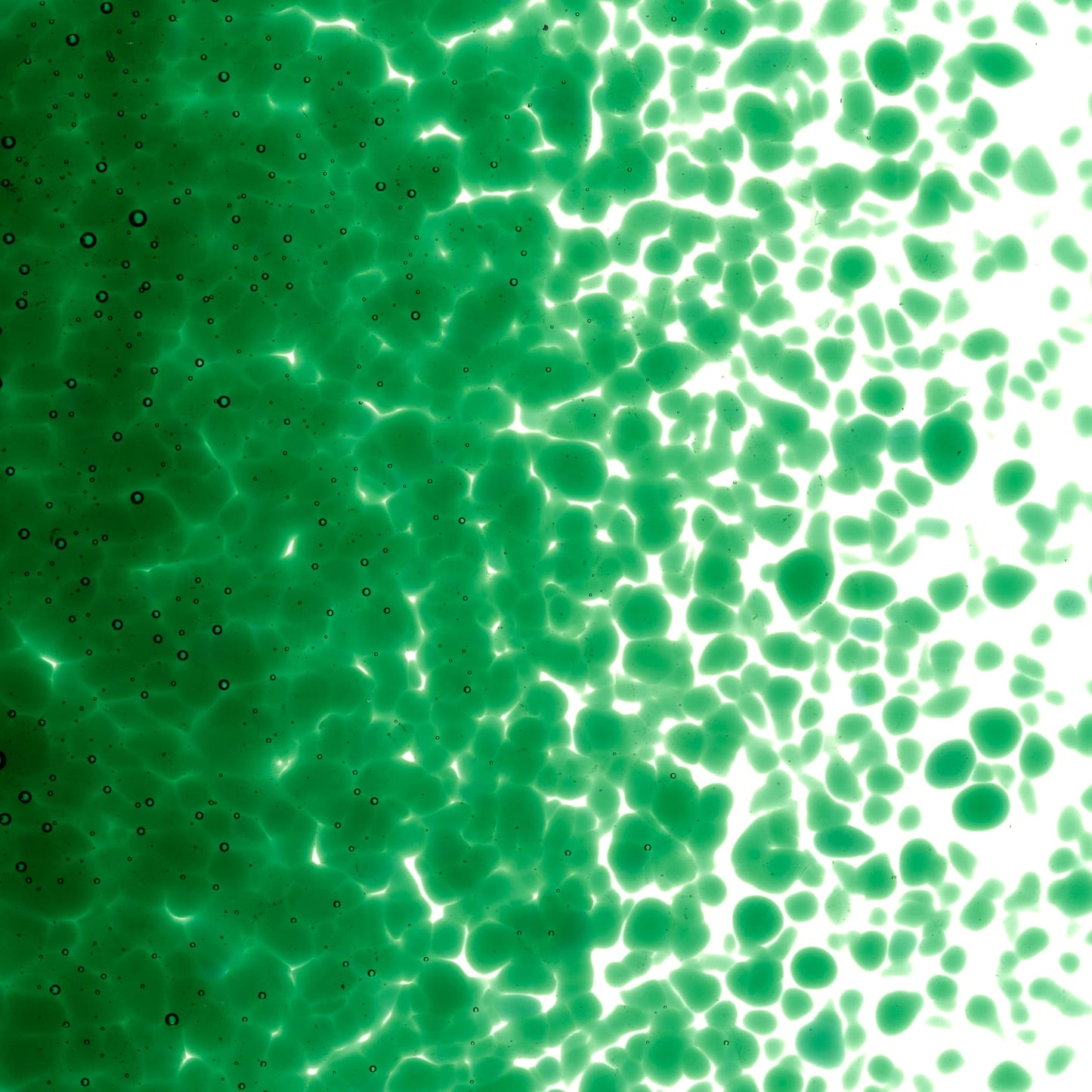 Bullseye COE90 Fusing Glass 001145 Kelly Green Frit