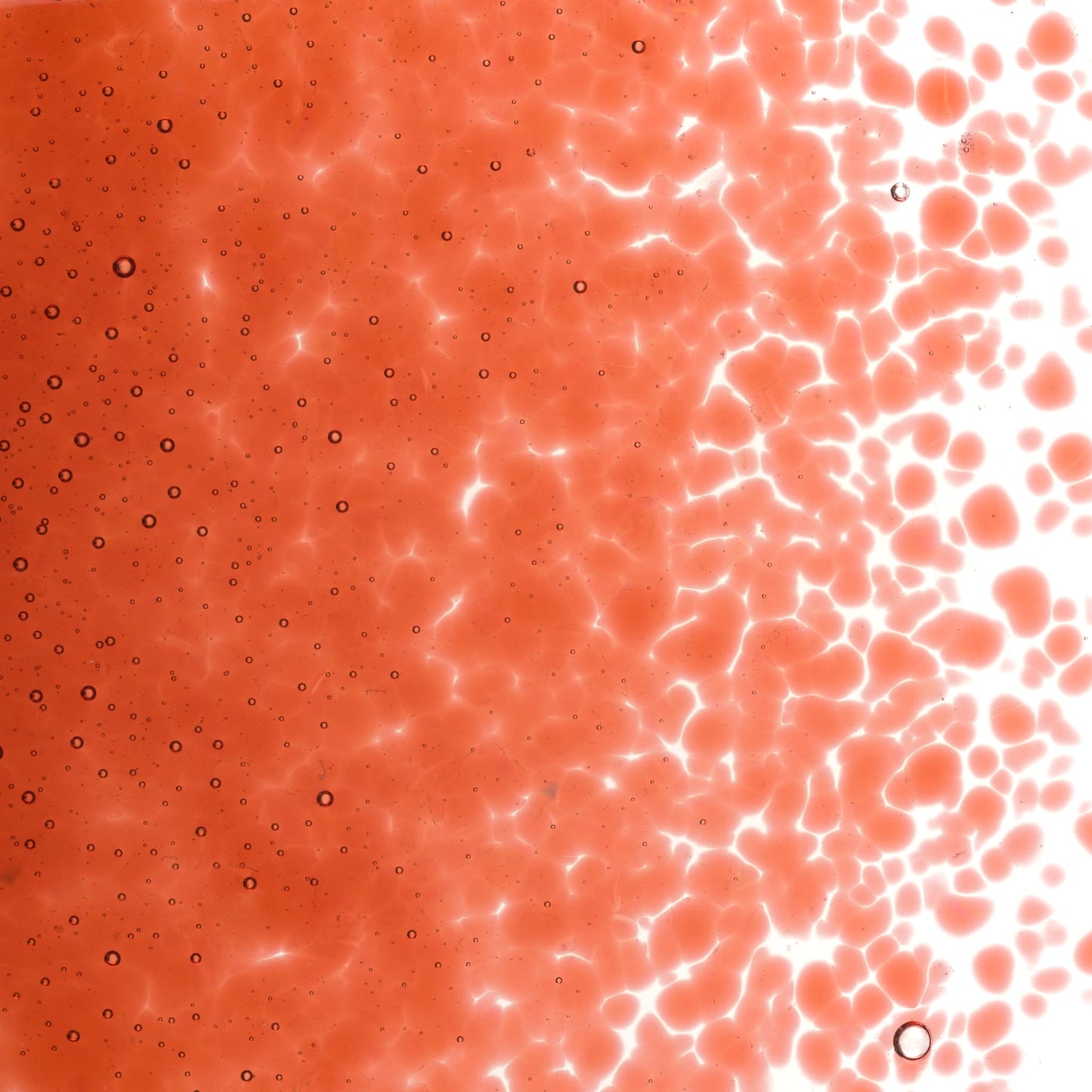 Bullseye COE90 Fusing Glass 001305 Sunset Coral Frit