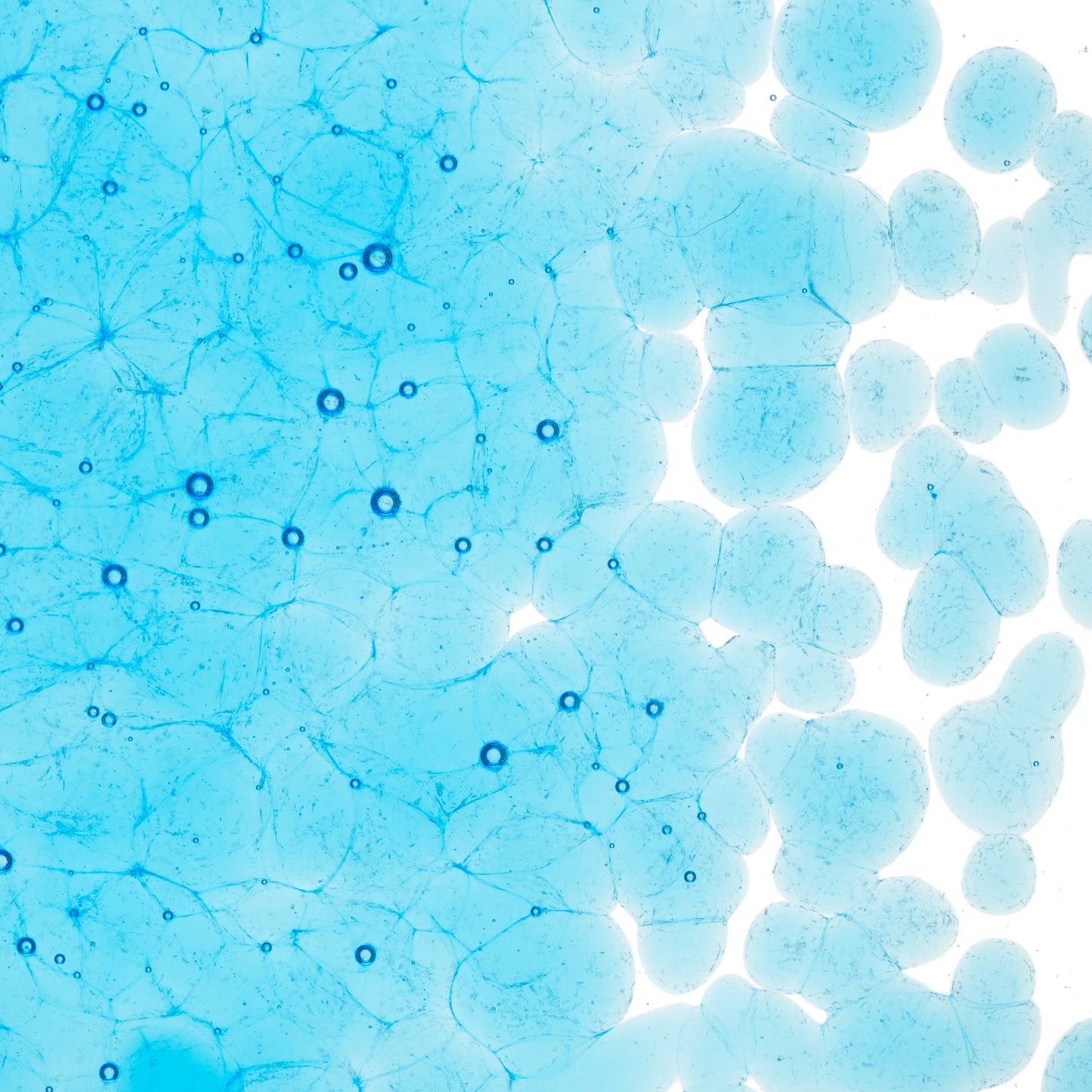 Bullseye COE90 Fusing Glass 001416 Light Turquoise Blue Frit