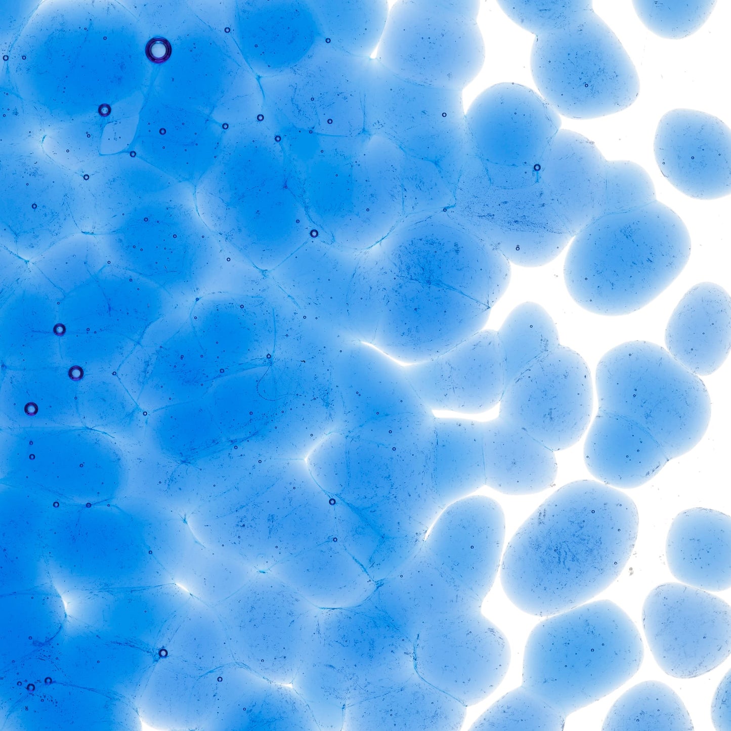 Bullseye COE90 Fusing Glass 001464 True Blue Frit