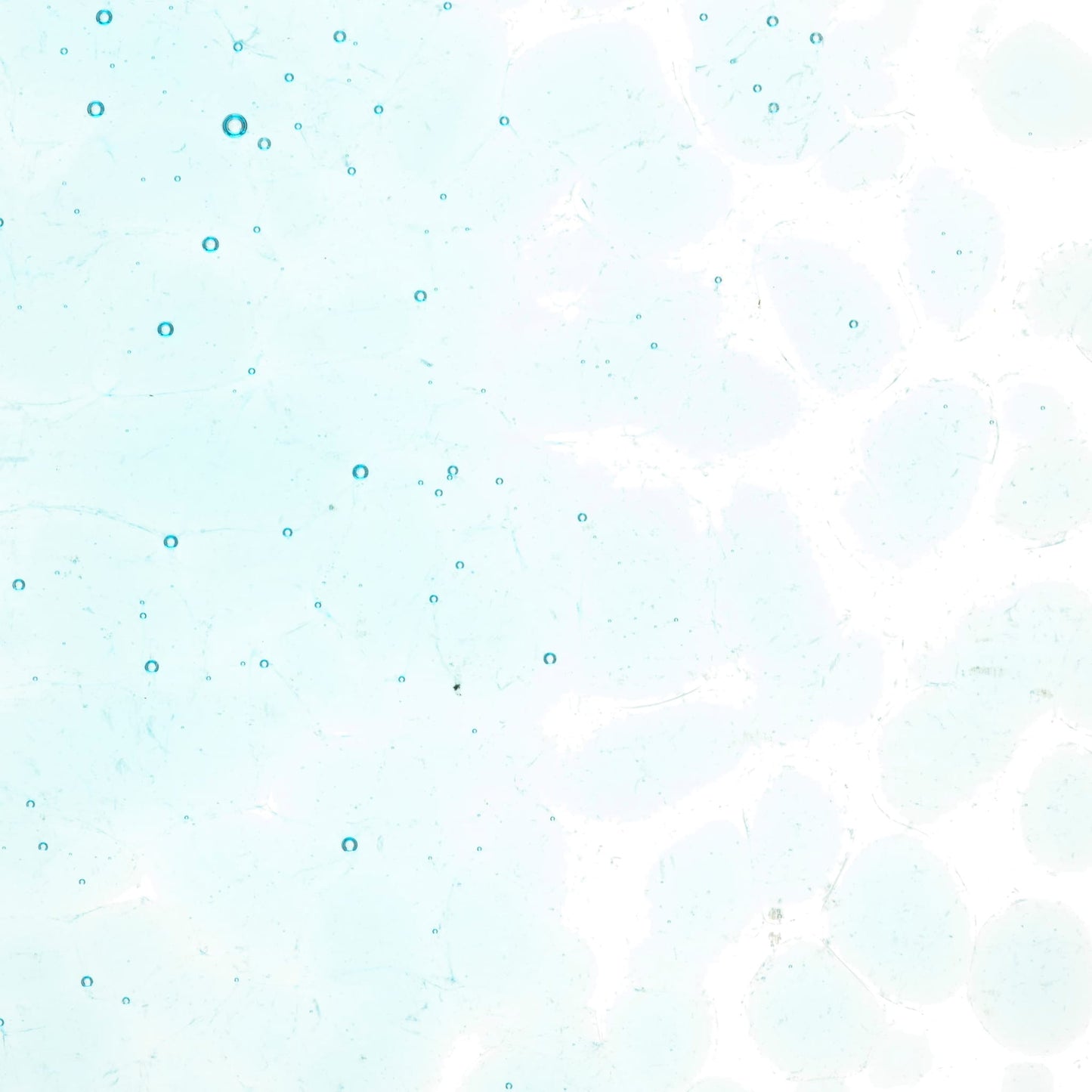 Bullseye COE90 Fusing Glass 001808 Aqua Blue Frit