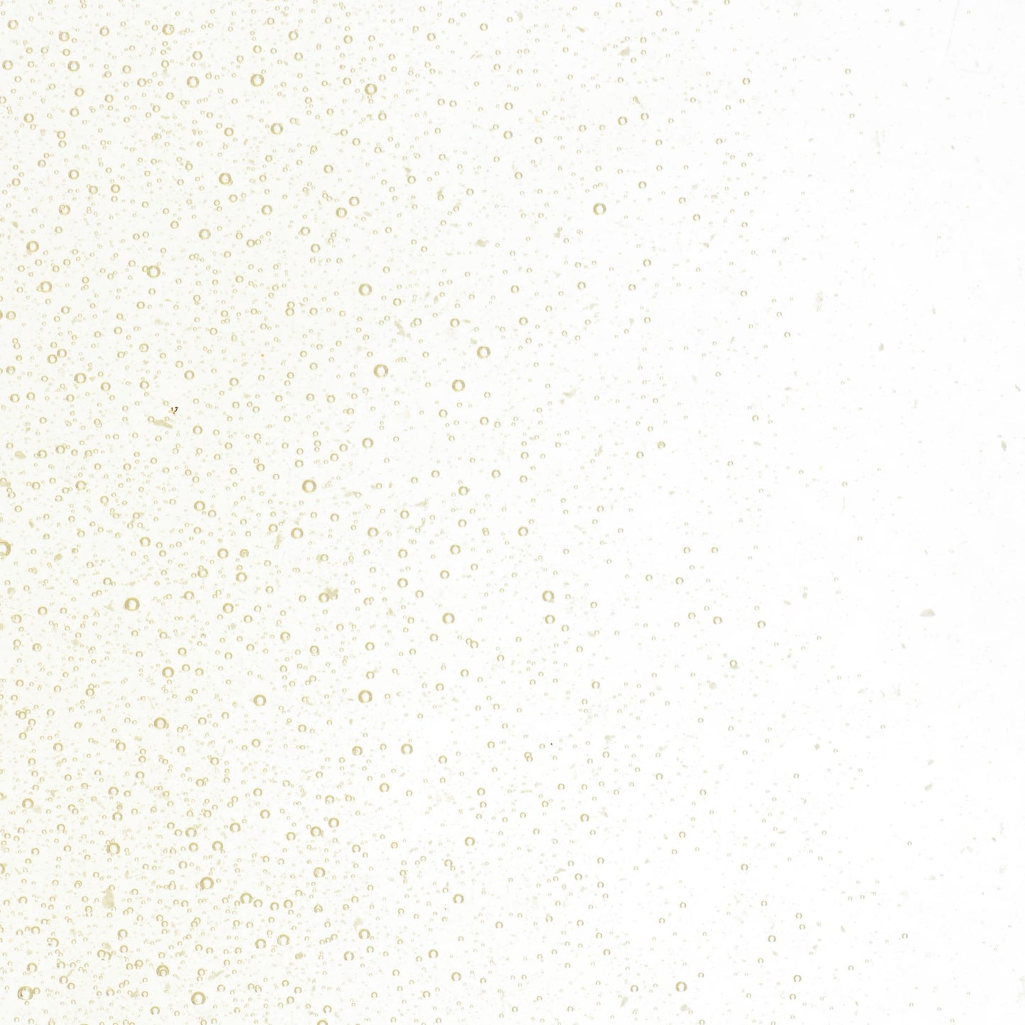 Bullseye COE90 Fusing Glass 001867 Olive Smoke Frit