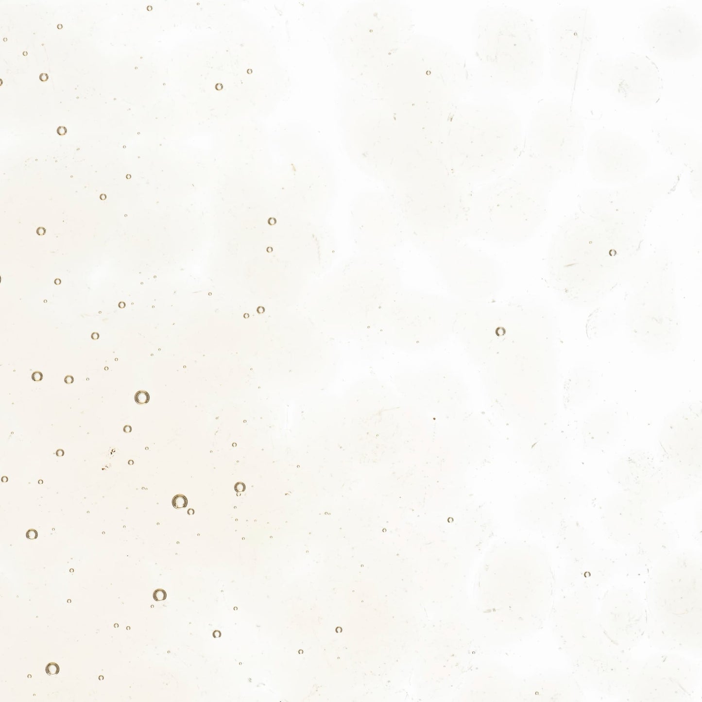 Bullseye COE90 Fusing Glass 001867 Olive Smoke Frit